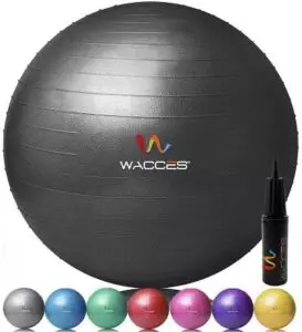 Wacces Professional Exercise Ball